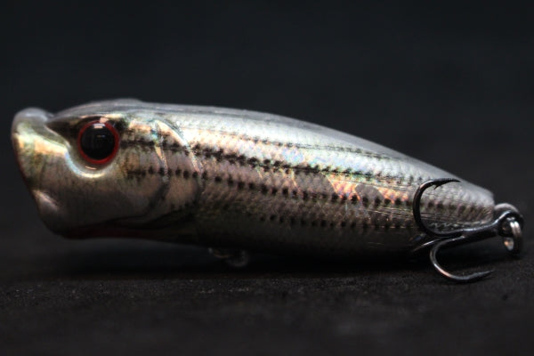 Fishing Lures Topwater HT605<br>2 3/4 inch 1/3 oz